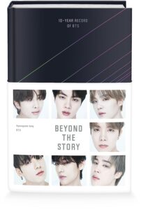 Beyond the story pdf