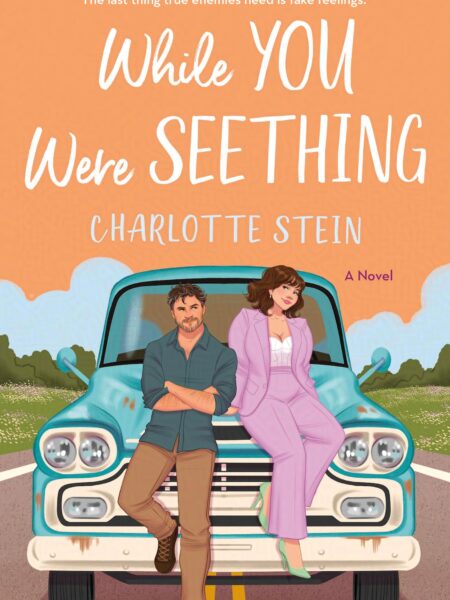 While You Were Seething