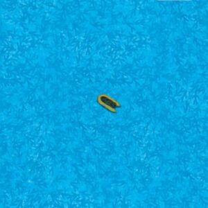 Small Boat